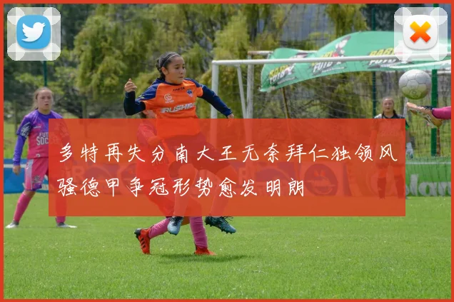 多特再失分南大王无奈拜仁独领风骚德甲争冠形势愈发明朗