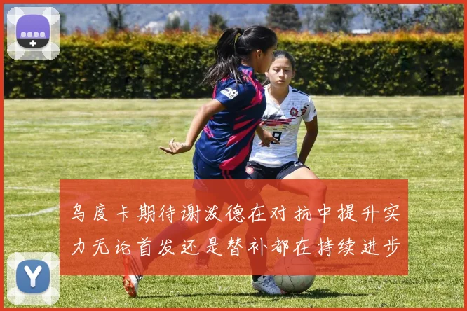 乌度卡期待谢泼德在对抗中提升实力无论首发还是替补都在持续进步
