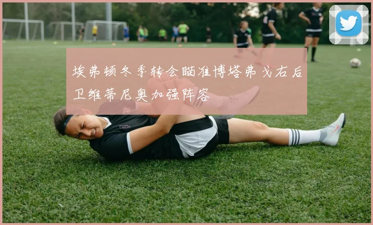 埃弗顿冬季转会瞄准博塔弗戈右后卫维蒂尼奥加强阵容